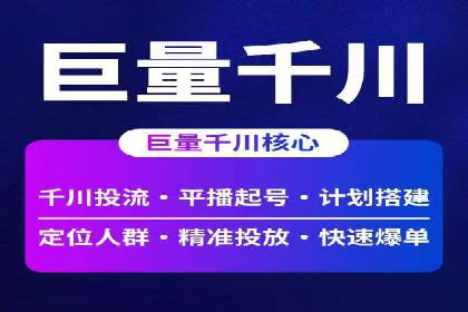 百度广告投放策略：成功案例解析